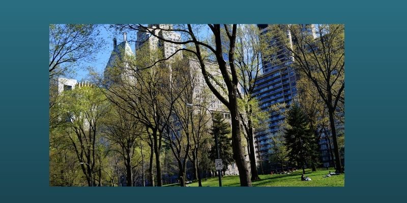 impresa - società - redigo.info