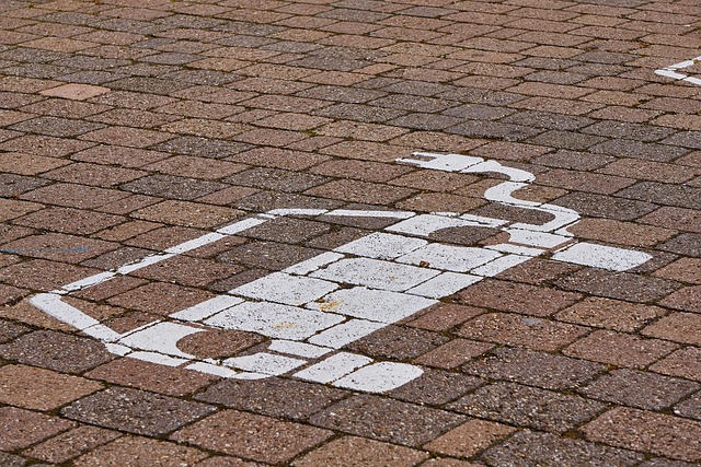 veicoli elettrici - redigo