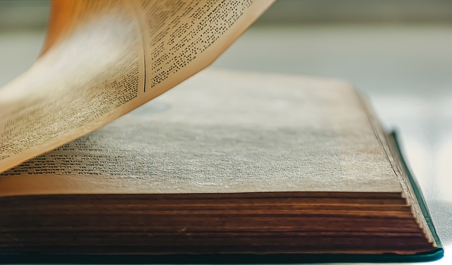 documento - lavoro - fisco - redigo