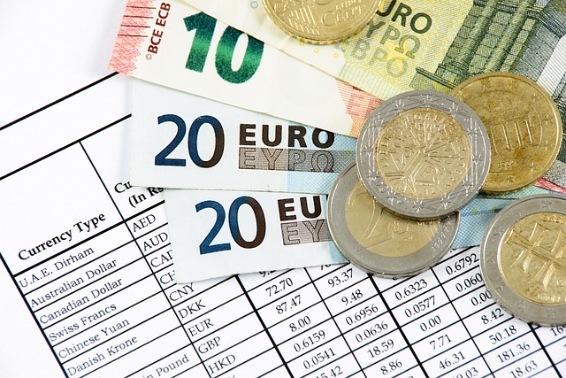 euro - riforma fiscale -redigo