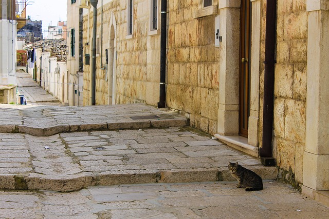 puglia - sud - zes - redigo