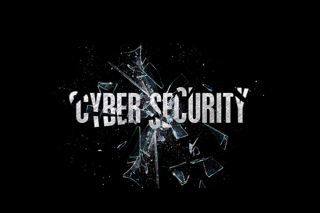 cyber security - redigo