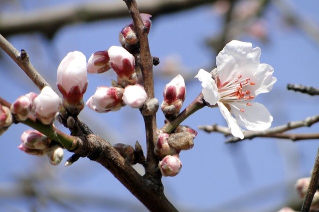 rischi-agricoltura-redigo