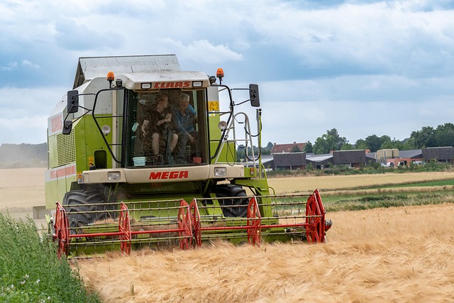 macchinario - redigo